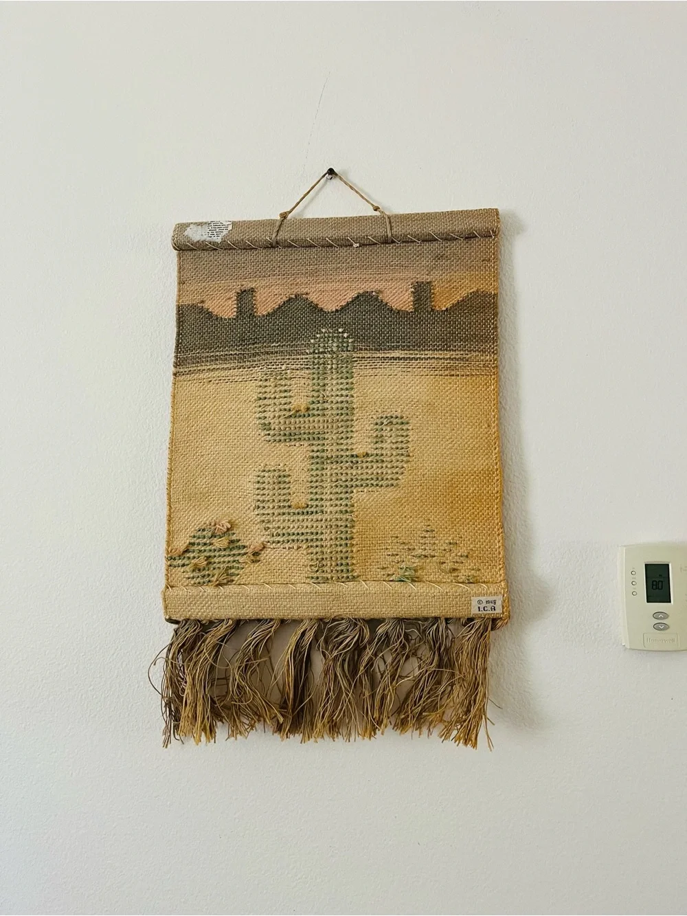 Handwoven Desert Cactus Wall Hanging in Tan and Brown 16/20 inches